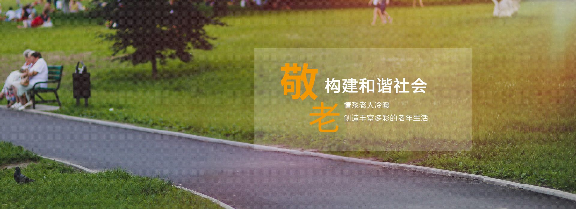 百乐博